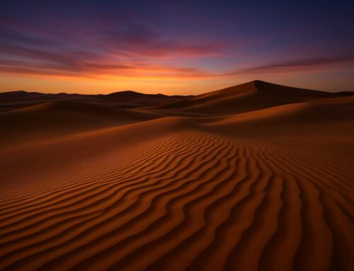 तेज़ हवा ने मुझसे पूछा, रेत पे क्या लिखते रहते हो